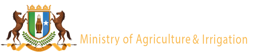 Ministry of Agriculture and Irrigation Puntland