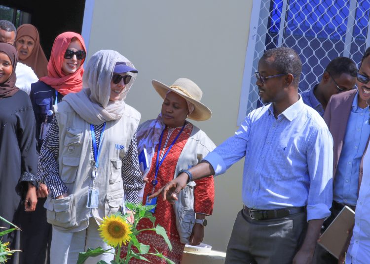 Puntland Ministry of Agriculture and WFP Hold Key Meeting to Boost Agricultural Research and Development