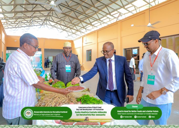 Commemoration of World Food Day 2025 and Development of Production