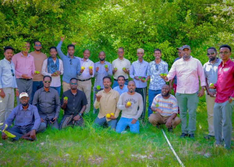 Visit to Ufayn Agricultural Zone under the FSRP Project